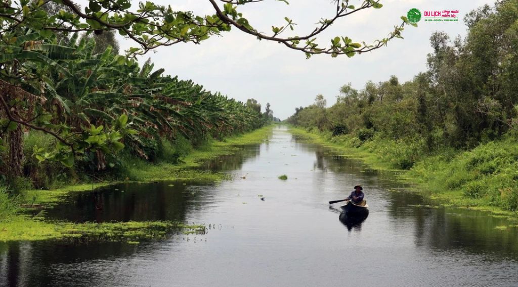 tour rừng tràm