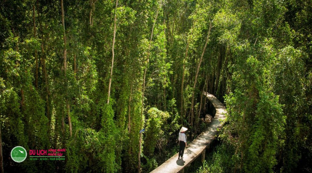 tour rừng tràm